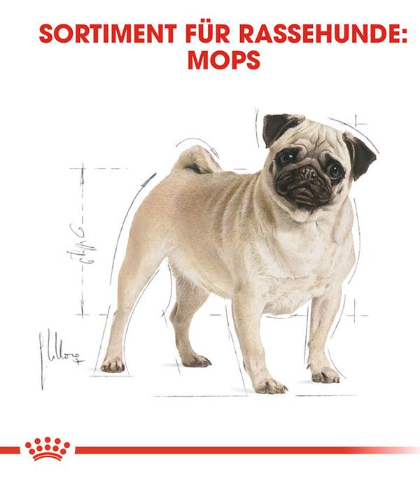 ROYAL CANIN® Trockenfutter für Hunde Pug