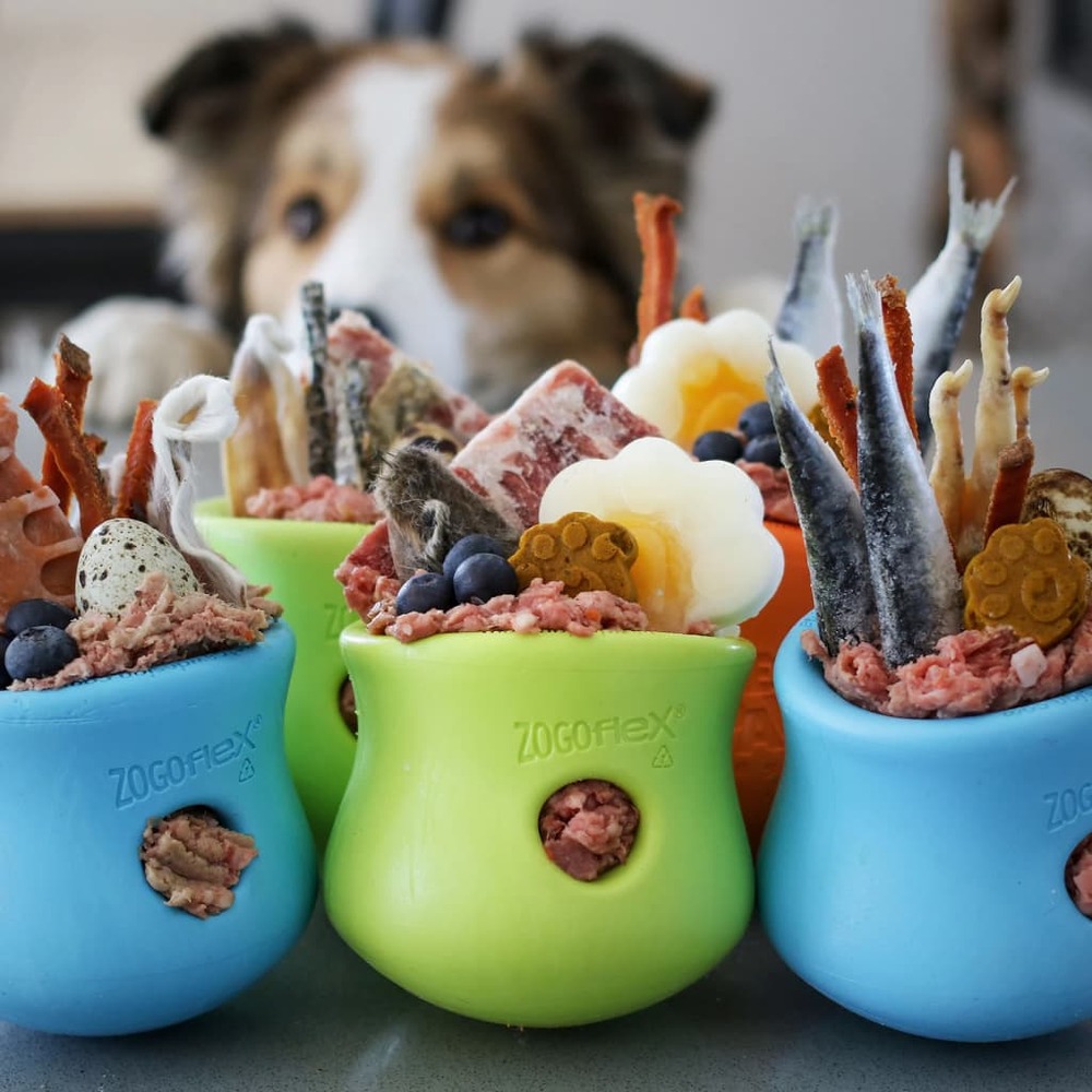 Jouet pour chiens avec zogoflex toppl vert granny smith s