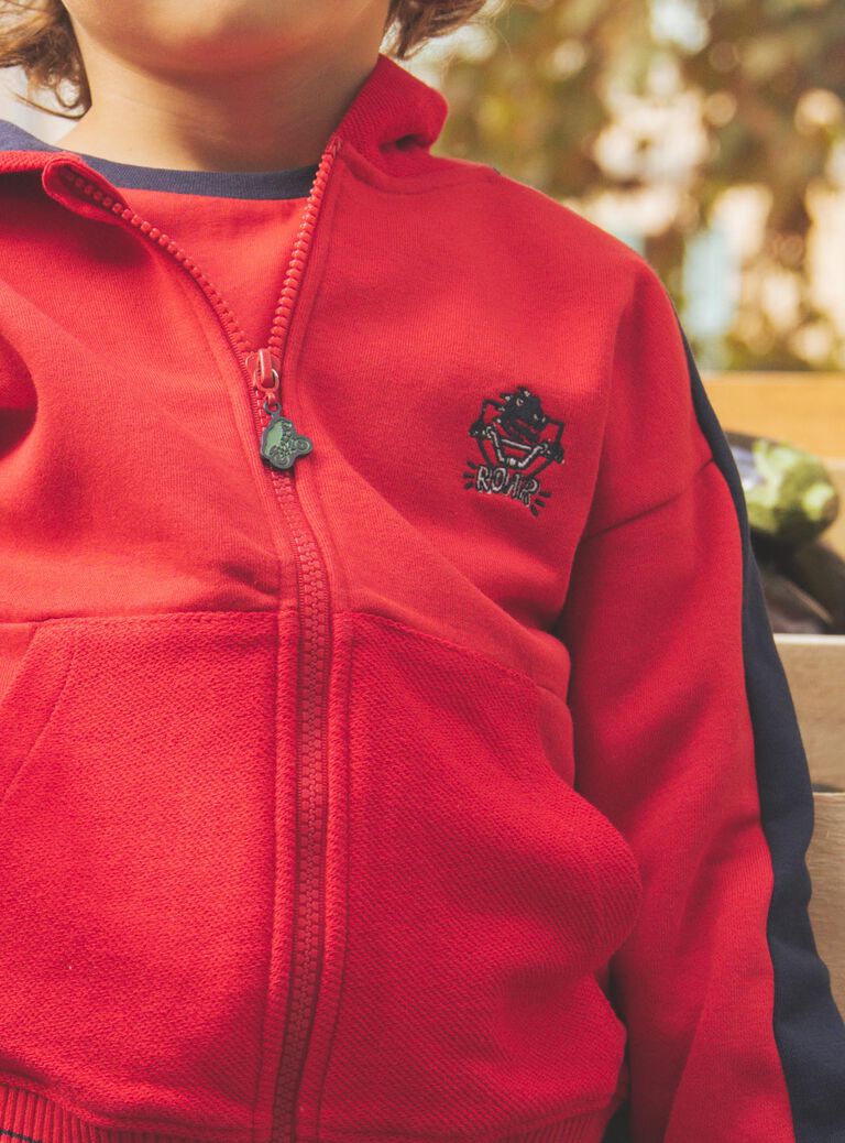 Sweat à capuche bicolore rouge et bleu marine