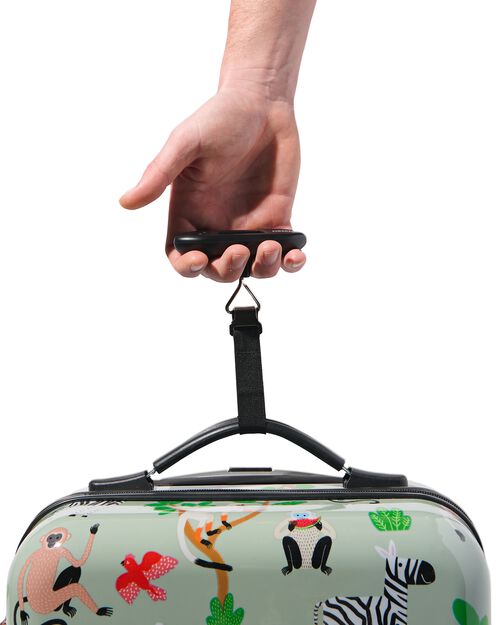 balance bagage jusqu’à 40kg
