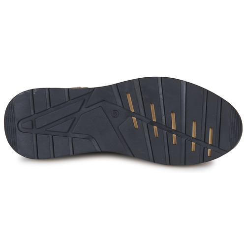 Bullboxer -  - Marron