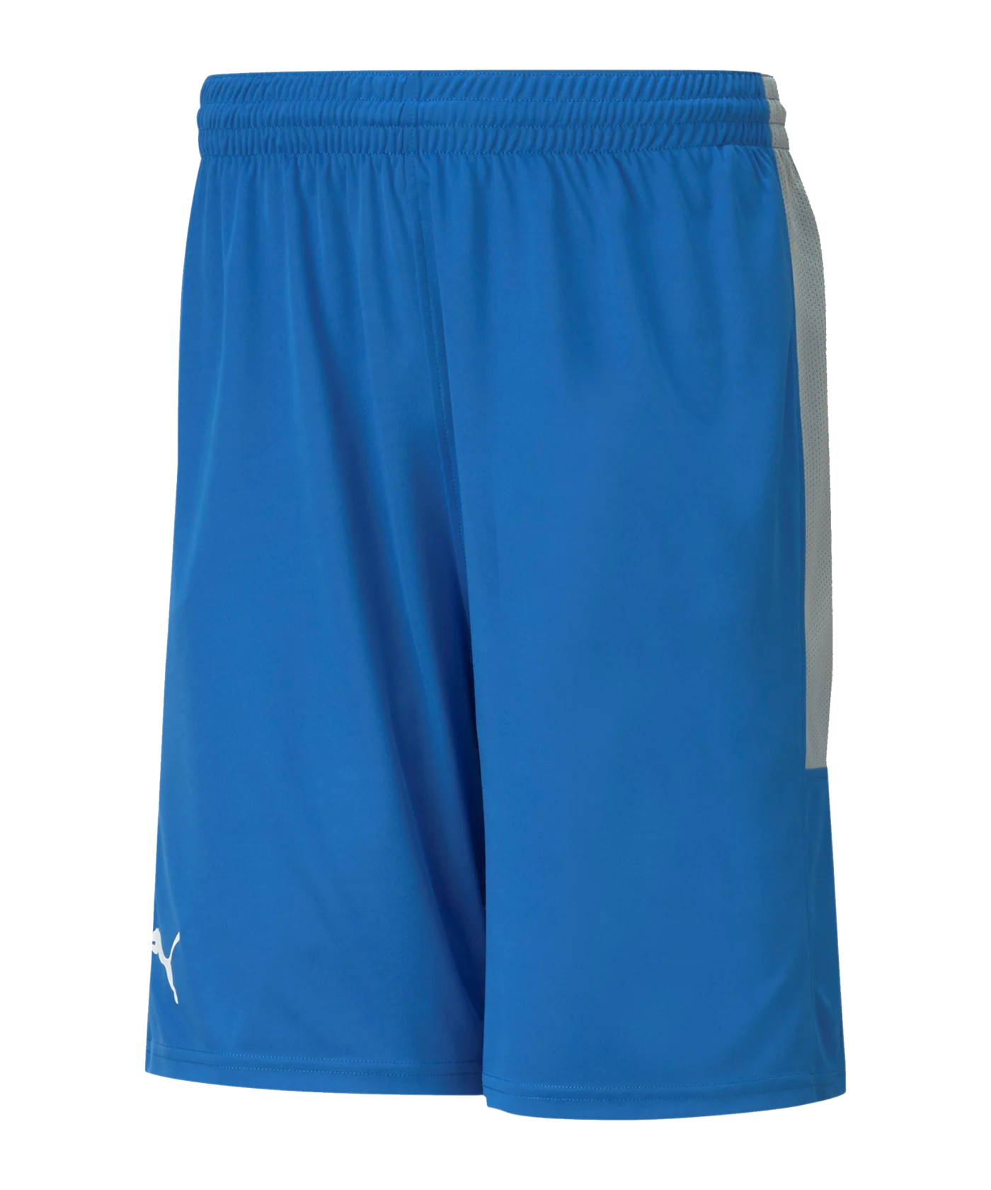 PUMA Basketball Game Short Blau F06