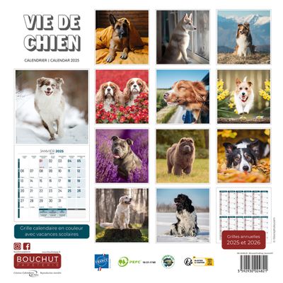 Calendrier illustré BOUCHUT 30 x 30 cm VIE DE CHIEN 70 %