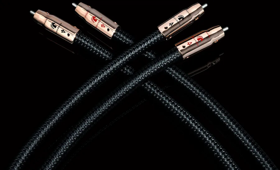 Audioquest Black Beauty RCA (2 x 1,5 m) Câbles RCA/Cinch stéréo