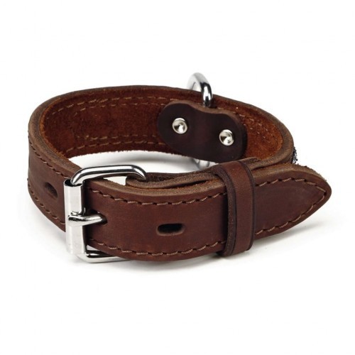 Coleira marrom de cowboy para cachorro