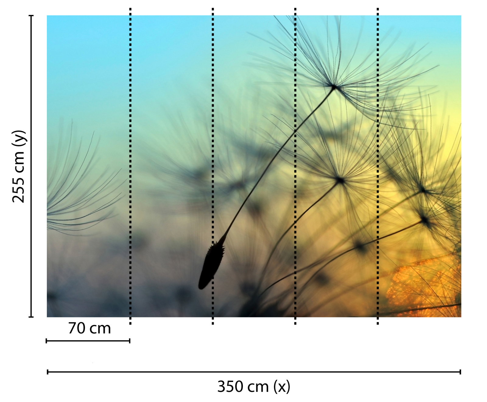 Fototapete DESIGNWALLS - blau-schwarz - Blumen - 2,55 Meter