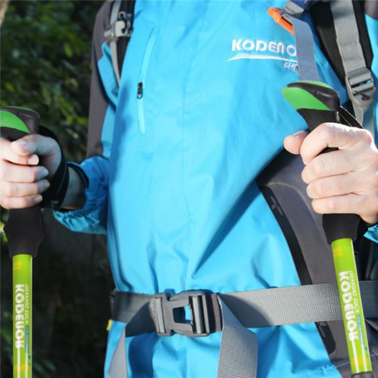 (2er Set) Faltbarer Aluminium Trekking Wanderstock Nordic Walking Stock Verstellbar mit Transporttasche - Blau / Silber