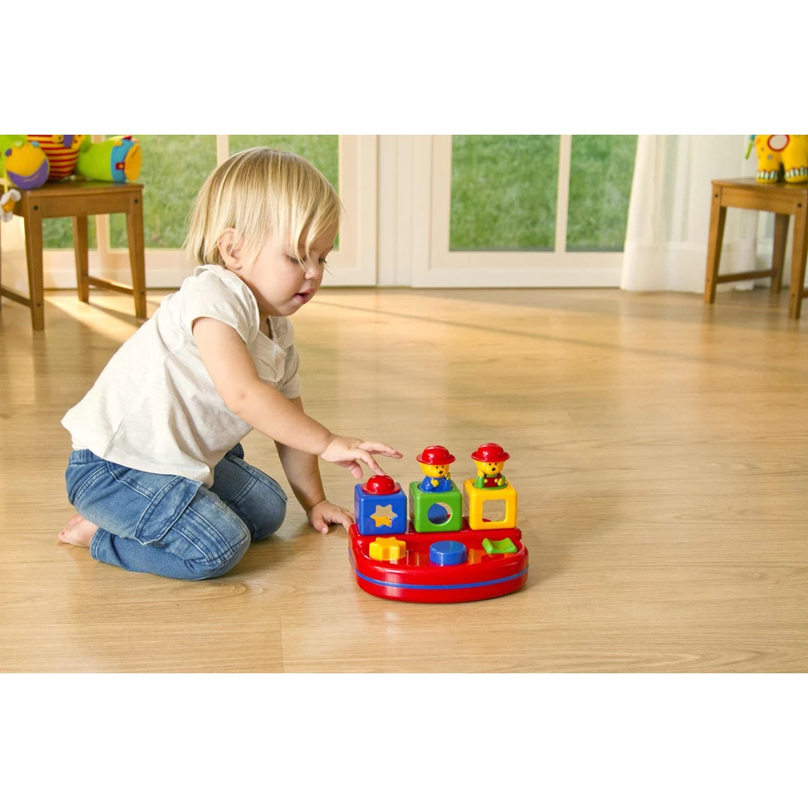 TOLO® Pop Up Teddies