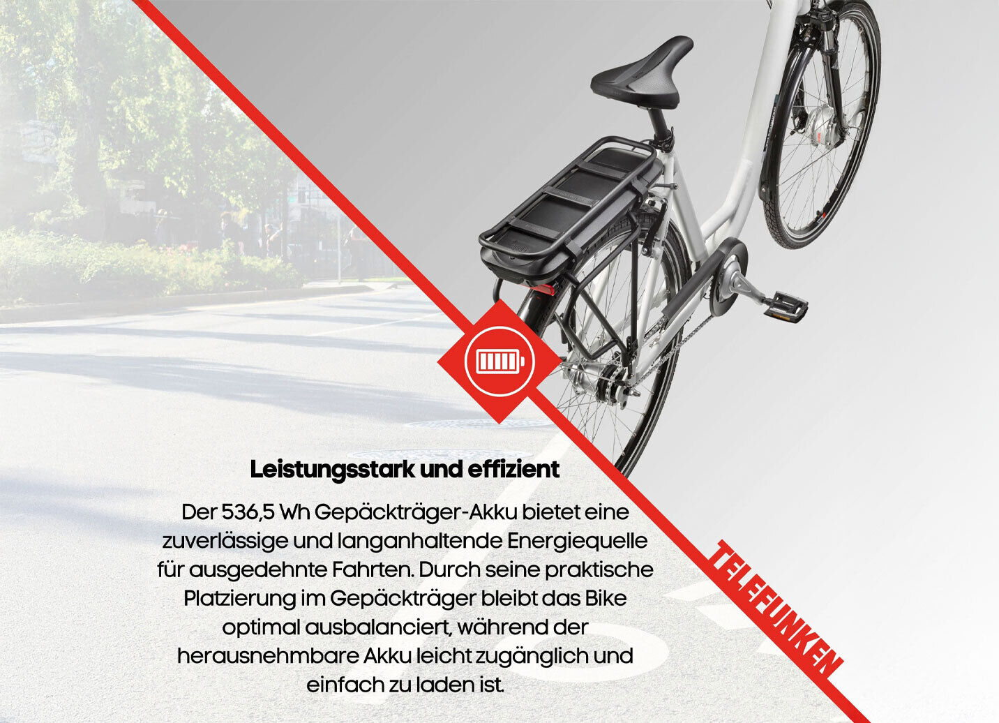 City-E-Bike RC667 von TELEFUNKEN