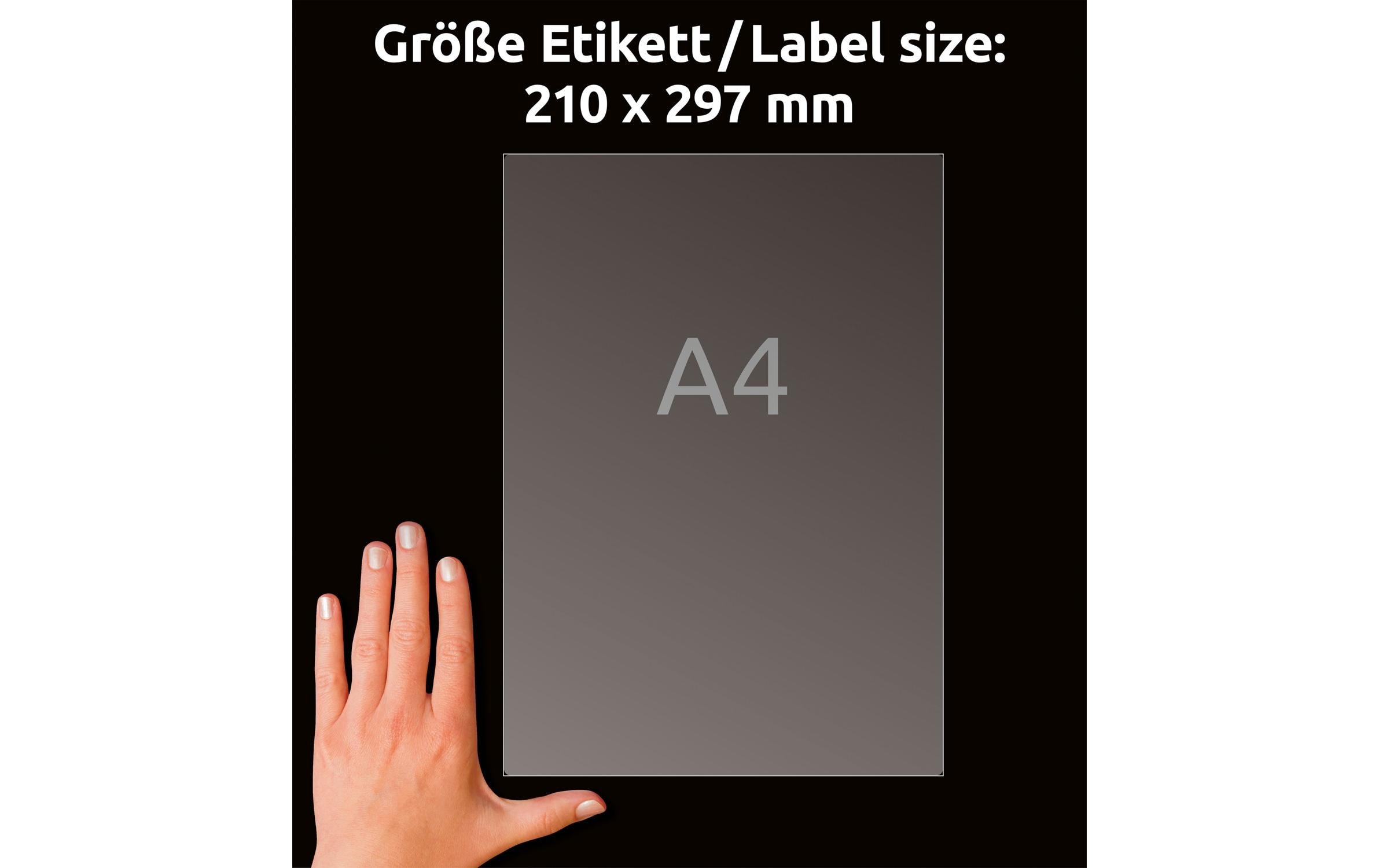 Versand-Etiketten 210 x 297 mm L7567 TransparentLassen Sie Ihre Post Farbe zeigen!