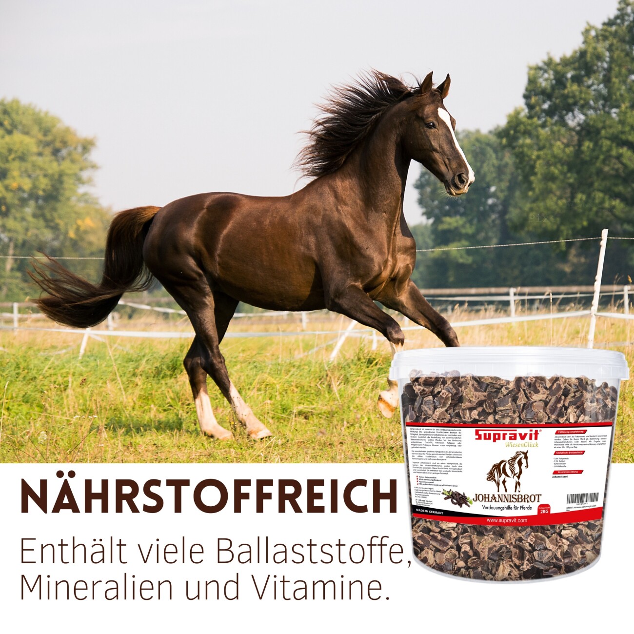Supravit Johannisbrot 2 kg Eimer Pferdeleckerli