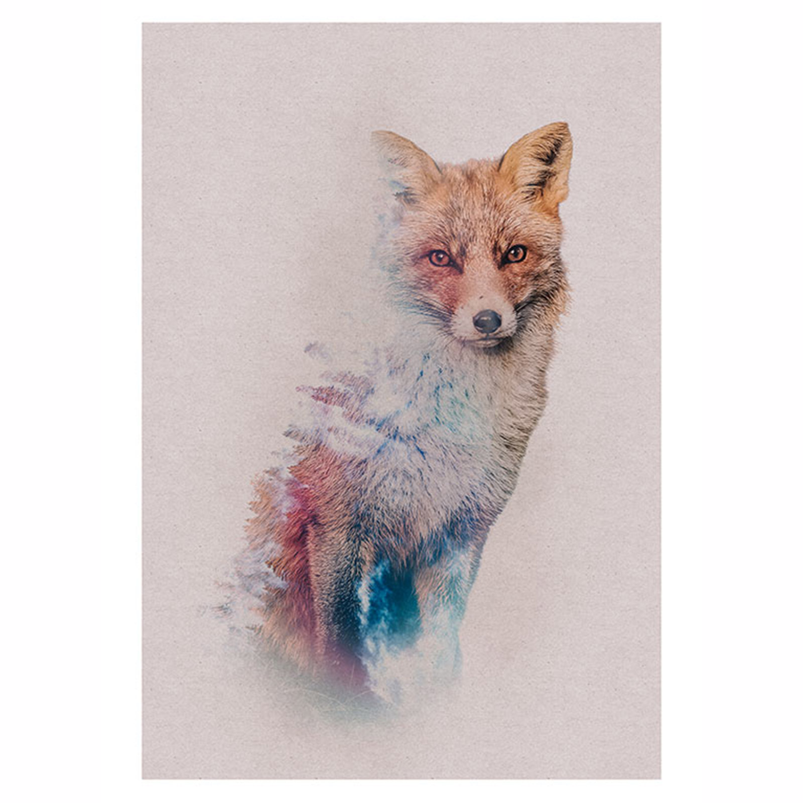 Wandbild ANIMALS FOREST FOX - bunt - 50x70 cm