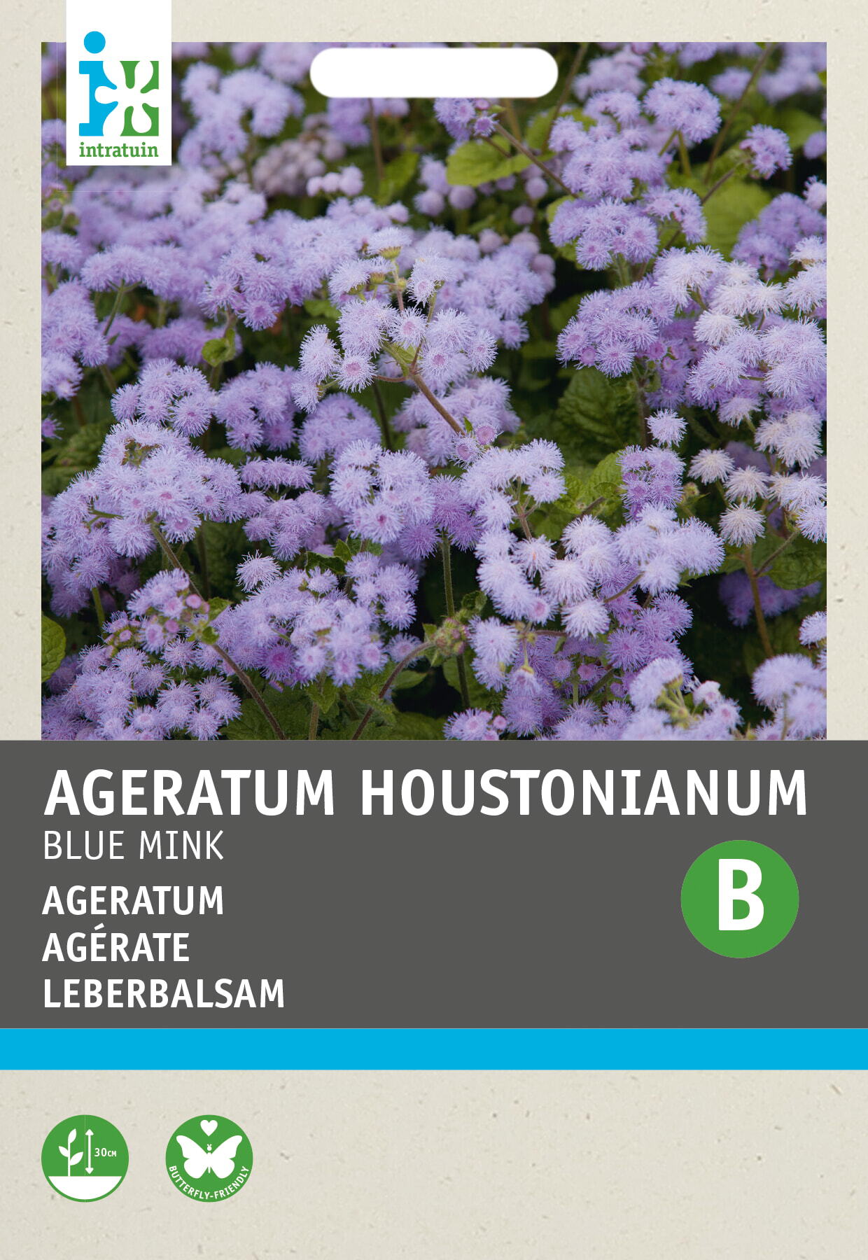 Intratuin bloemenzaad Mexicaantje Indigo-blauw (Ageratum houstonianum 'Blue Mink')