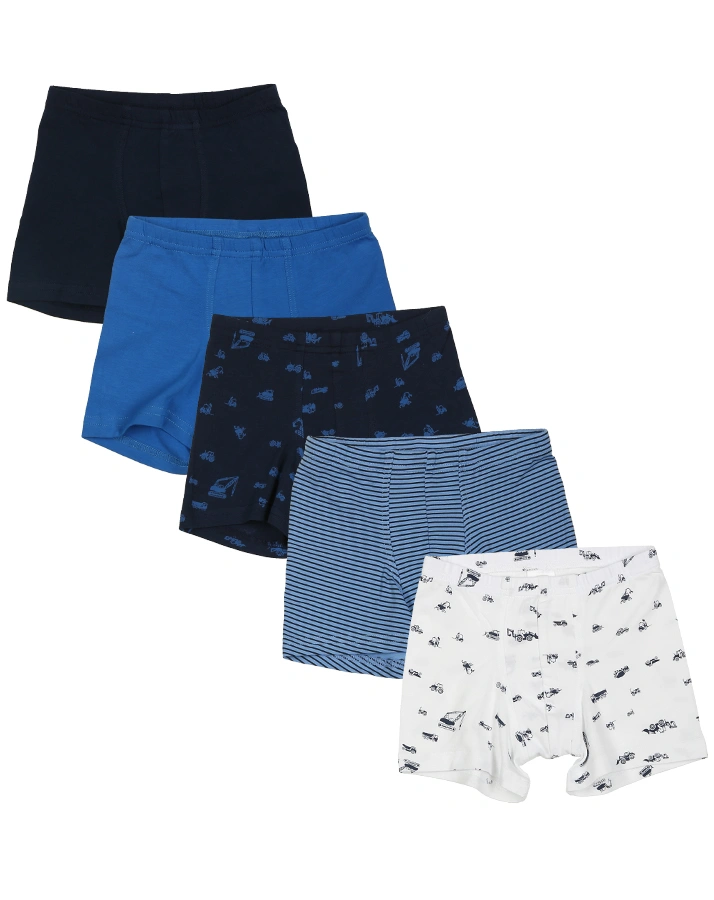 Boxershorts CLASSICS – BAGGER 5er Pack in blau/weiß