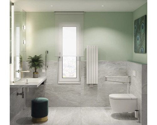 Jungborn Douchetoiletset DUE 59 Basic Randloos Diepspoeltoilet Wit met Toiletzitting en Soft Close Mechanisme