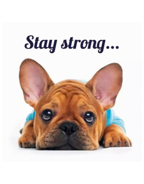 Plenty Gifts Kaart Stay Strong - Cadeau - 13.7x13.7 cm