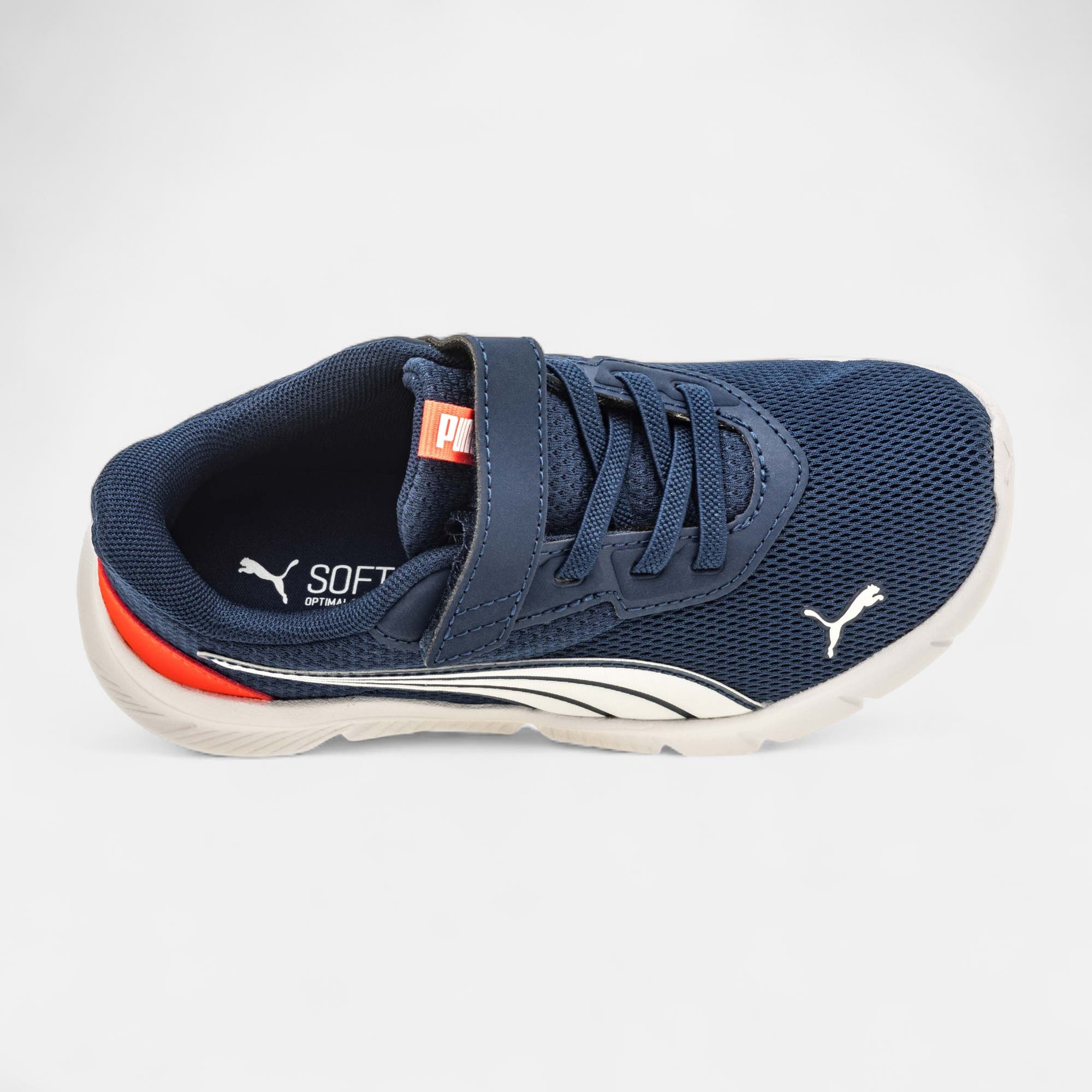 Sneakers Bébé garçon bleu marine