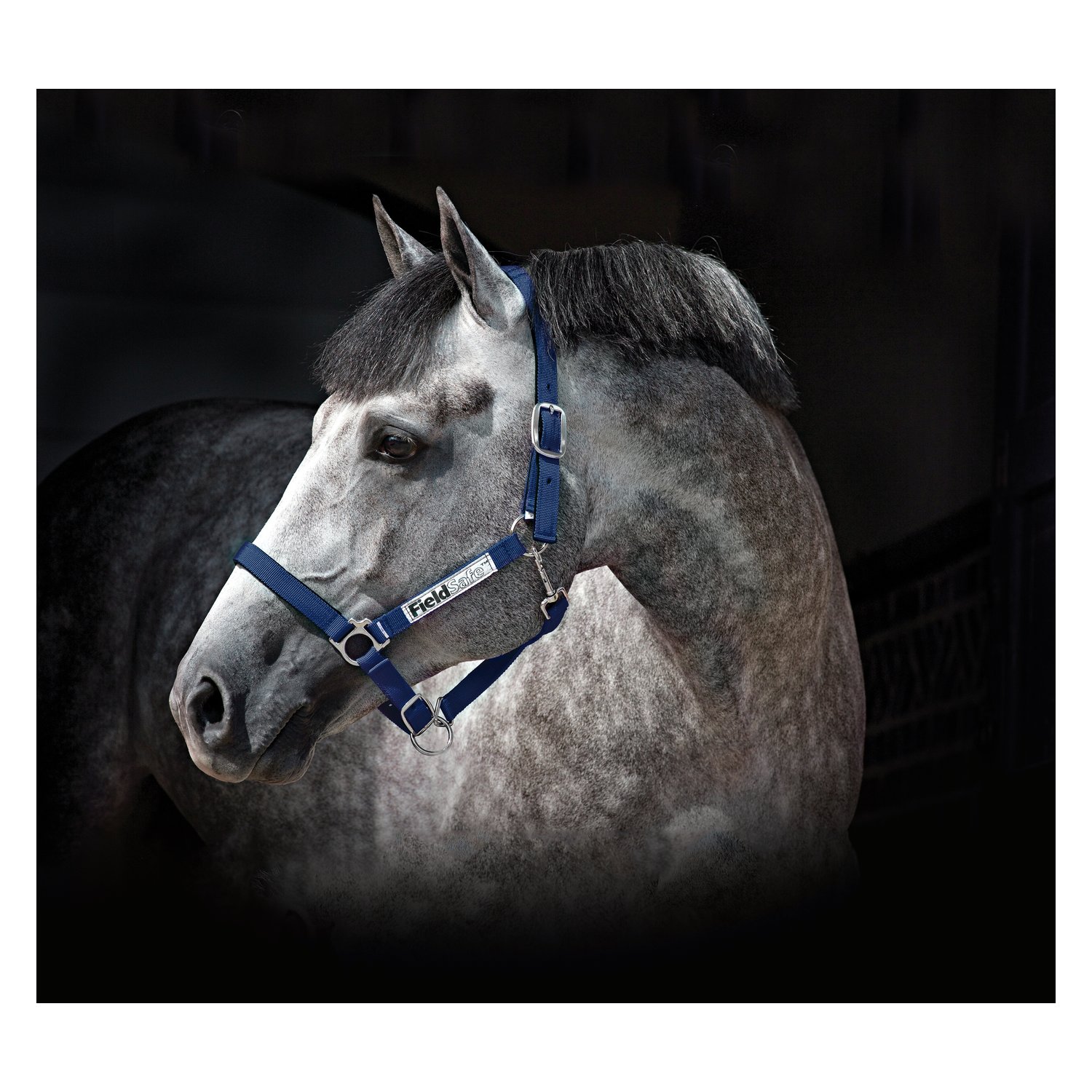 Horseware Halfter Fieldsafe  - navy - Pony