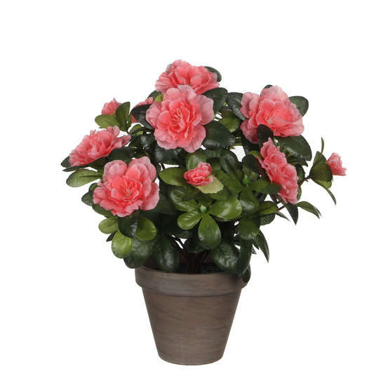 Azalea artificiel pêche (H27cm), en pot