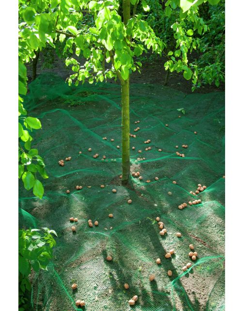 Nature Raapnet - Klim-En Geleide Artikel - 4.3x4.3 m Groen