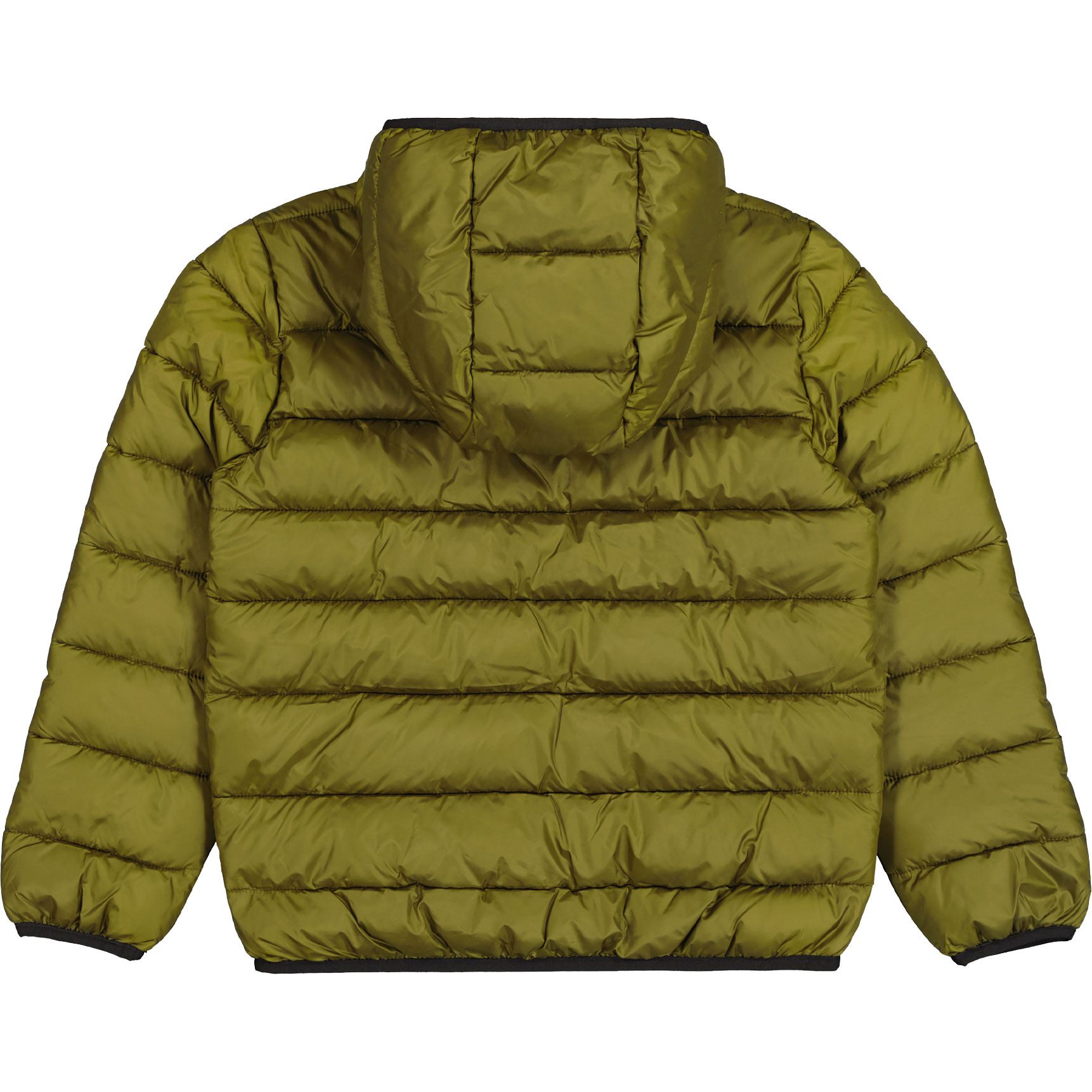 Champion Hooded Jacke Kinder grün