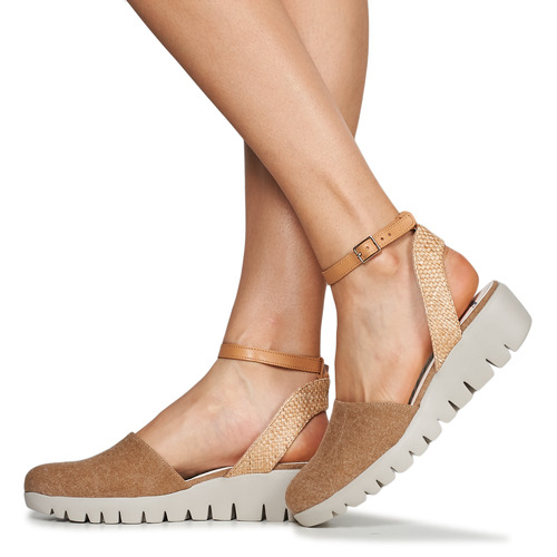 Wonders - C-33266 - Cognac