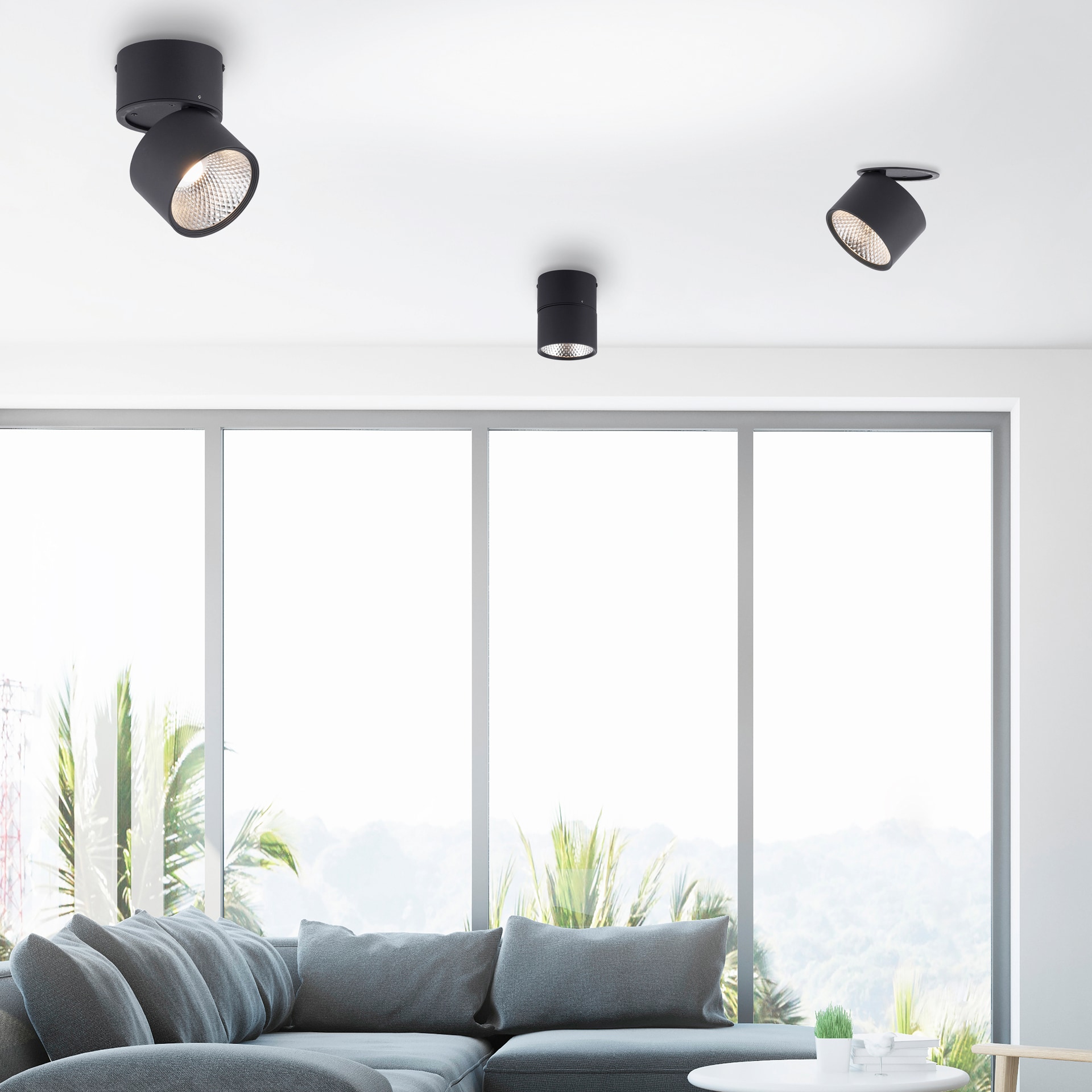 Paul Neuhaus LED Deckenlampe mit 1 Spots PURE-NOLA 15 cm schwarz