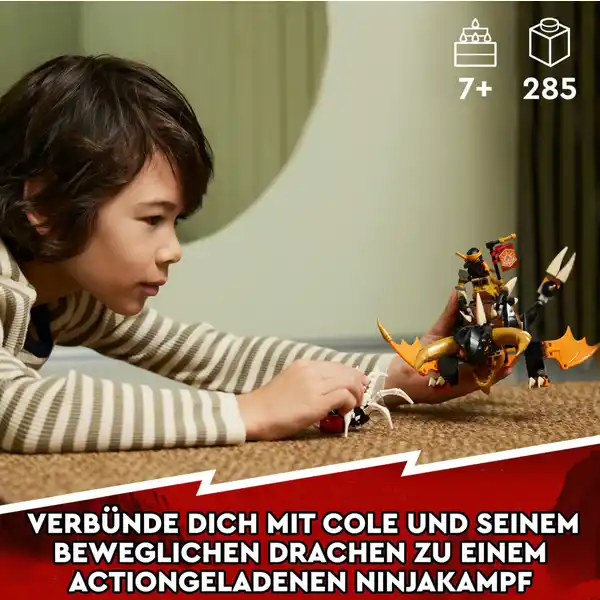 71782 Coles Erddrache EVO