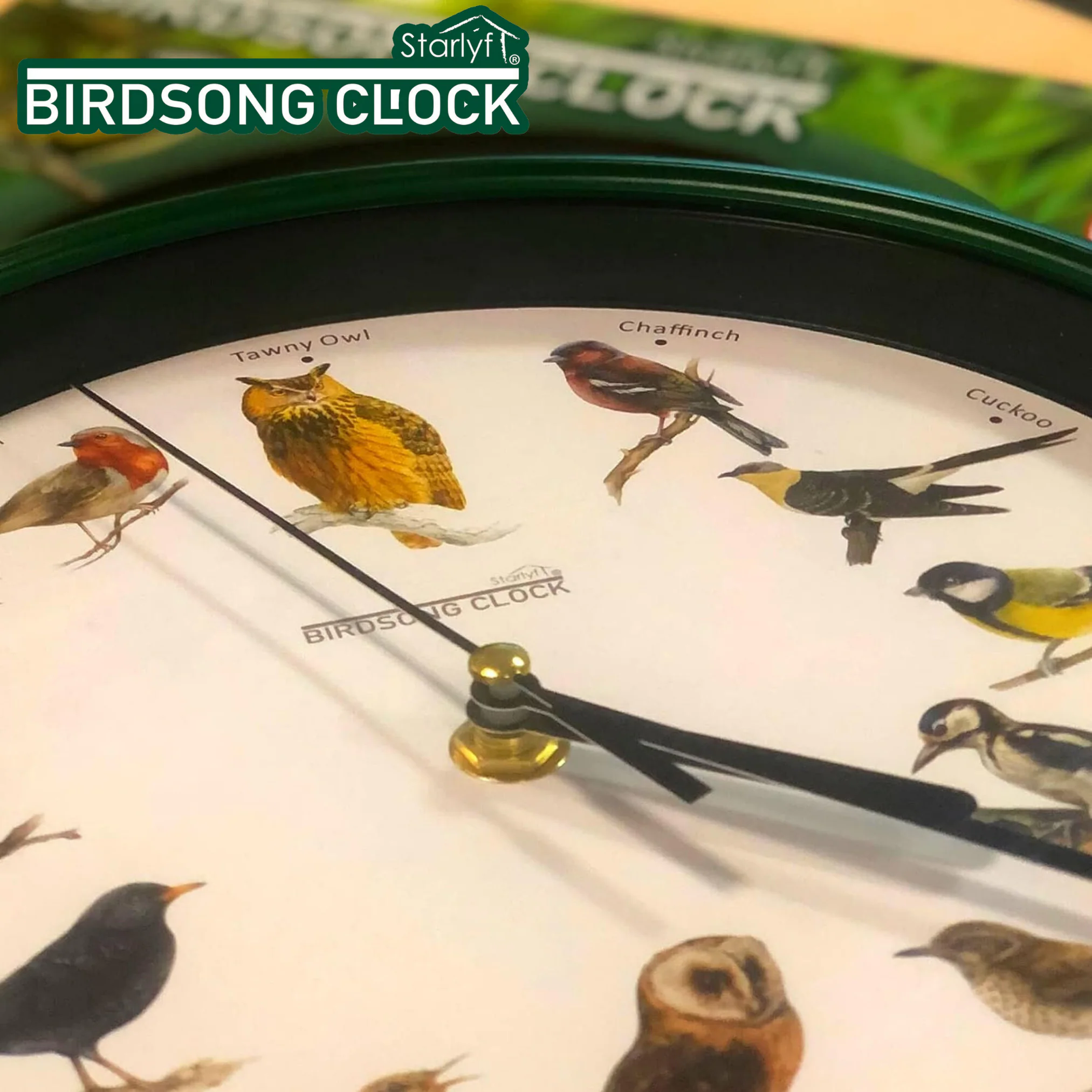 Starlyf® Wanduhr - Uhr mit natürlichen Vogelstimmen Birdsong Clock