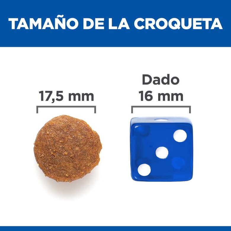 Ração Hill's Science Plan para cães adultos de porte grande com sabor de frango