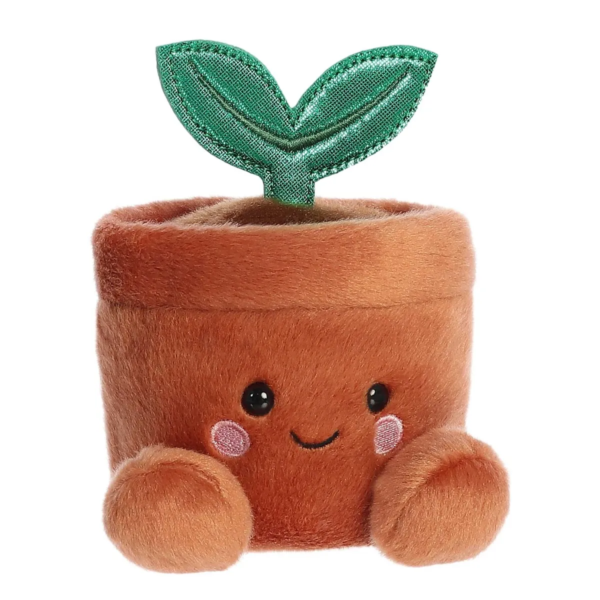 Aurora Plante en Pot