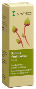 SPAGYROS GEMMO Rubus fruticosus Glycerinmazerat D1, 30 ml