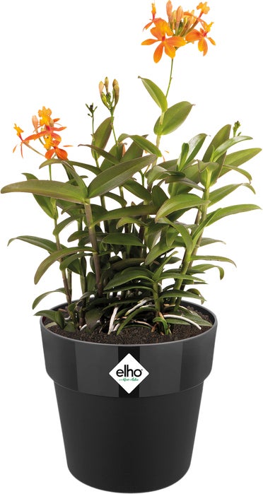 Elho bloempot B. for original zwart D 29,5 H 27,3 cm