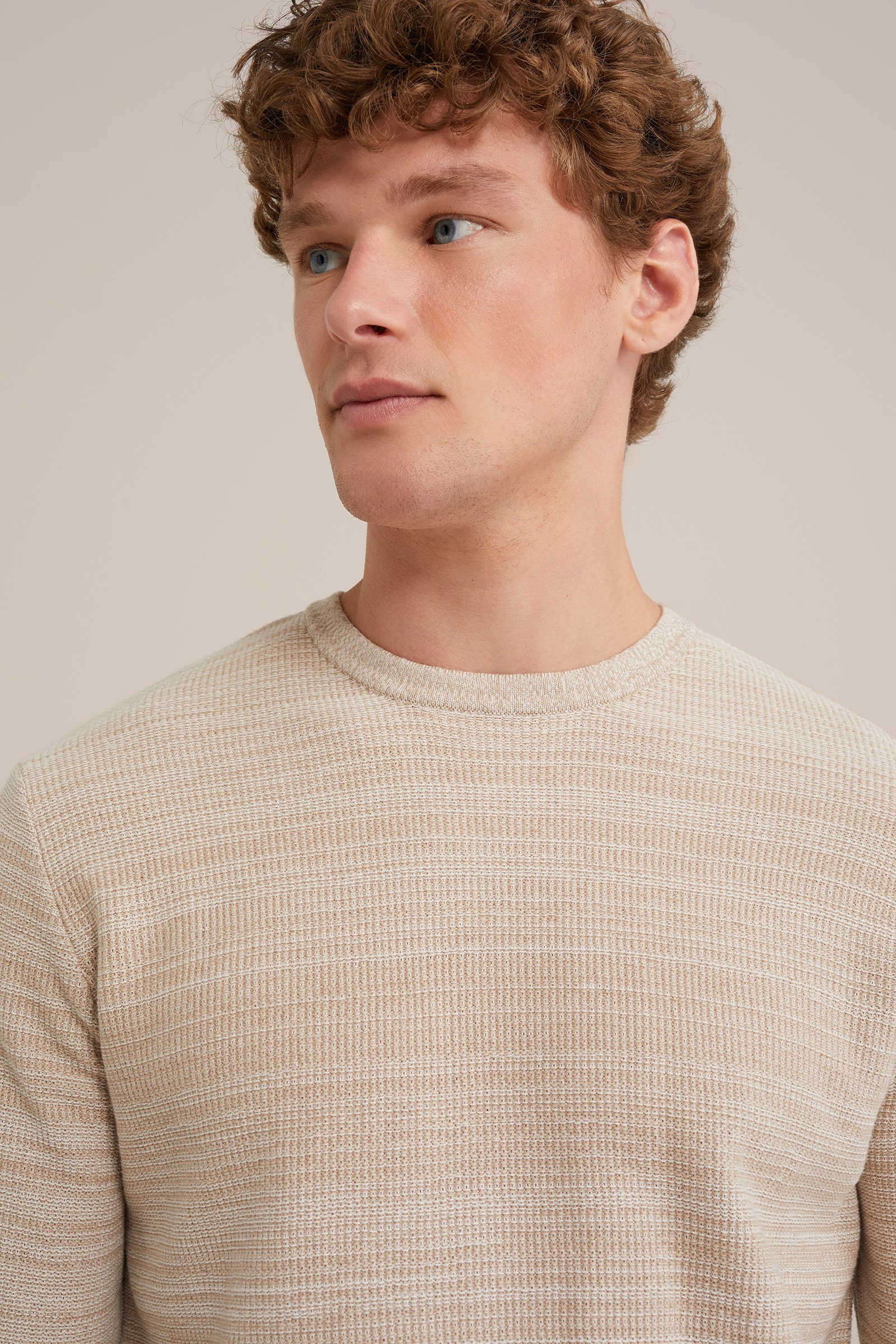 trui met structuur WE Fashion Beige