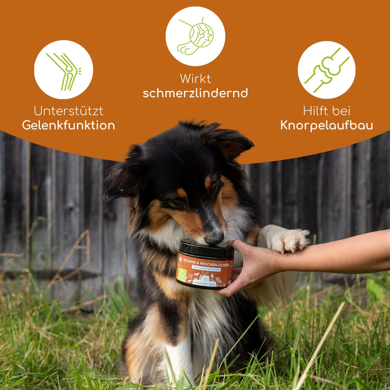 Wolfsbacher Natur Gelenke & Knochen Leckerli 3x