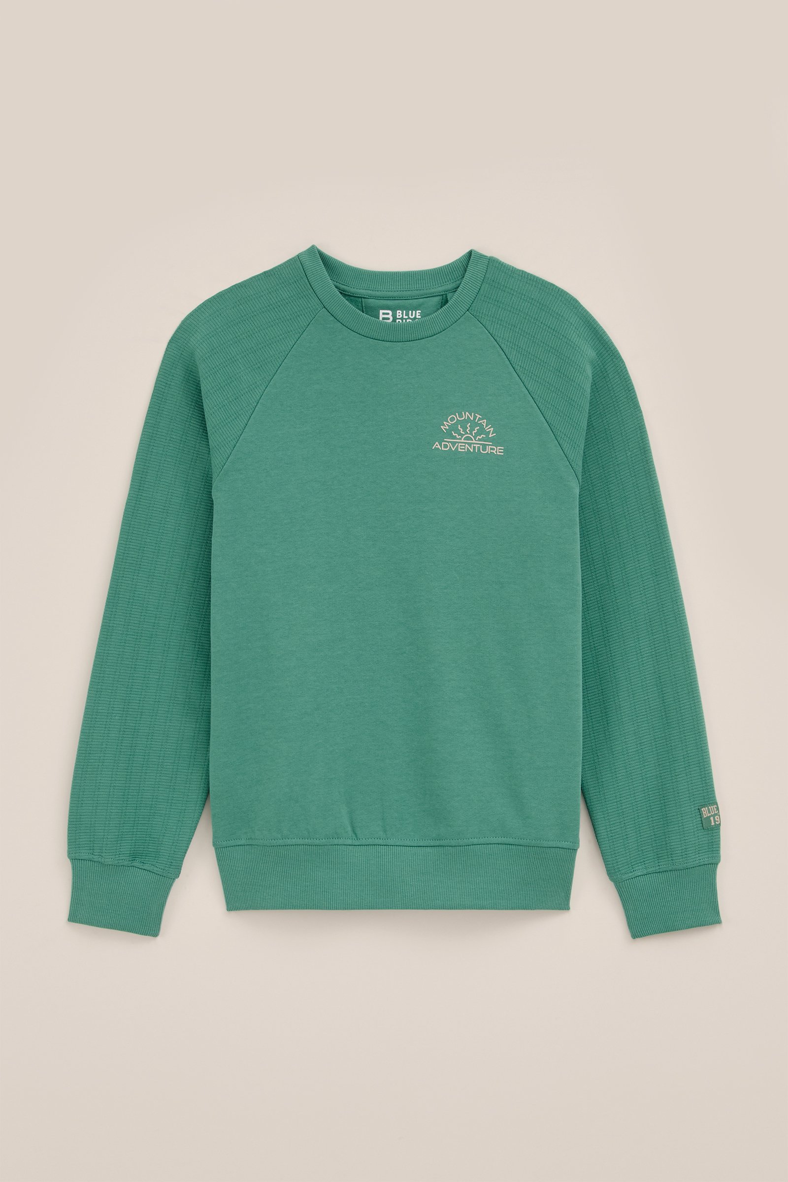 Jongens sweater met opdruk Blue Ridge Groen