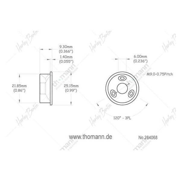 Harley Benton Parts T-Style Modern Jackplate
