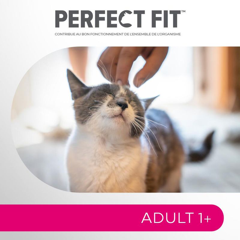 Perfect Fit Sterilisé Adult 1+ Riche en saumon