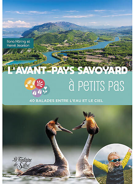 FONTAINE SILOE - AVANT PAYS SAVOYARD A PETITS PAS