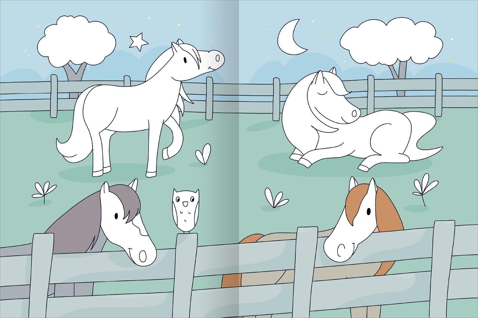Mein großes buntes Malbuch - Pferde und Ponys