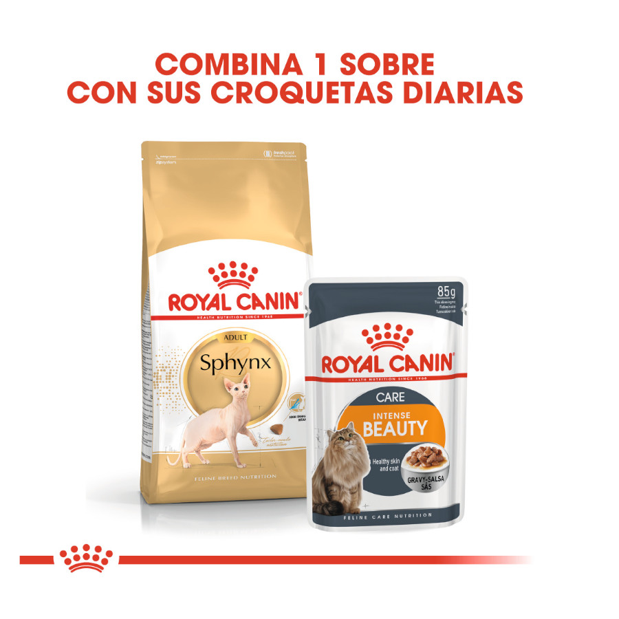 Ração Royal Canin Adult Sphynx para gatos