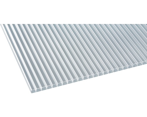 Gutta Polycarbonaat Holle Kamerplaat Helder 2000 mm x 980 mm x 16 mm