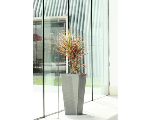 Plantenvaas Lafiora Liam LxB 40 x 40 cm H 80 cm grijs