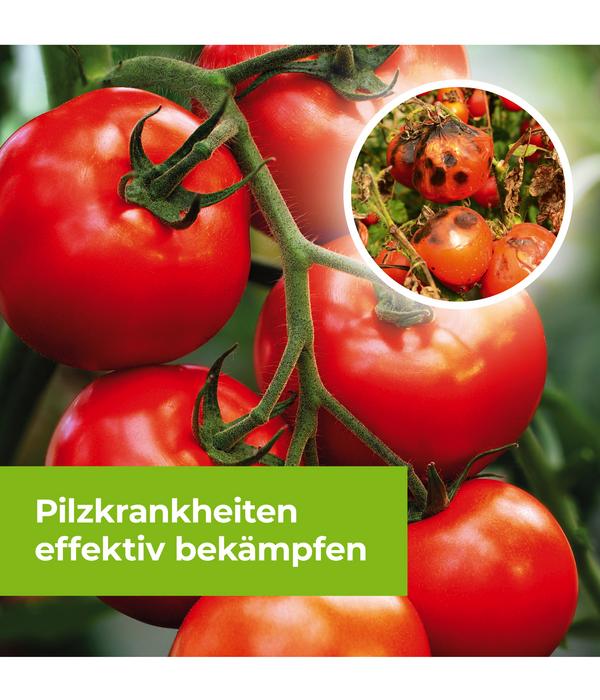 PROTECT GARDEN Curamat AZ Rosen-Pilzfrei,