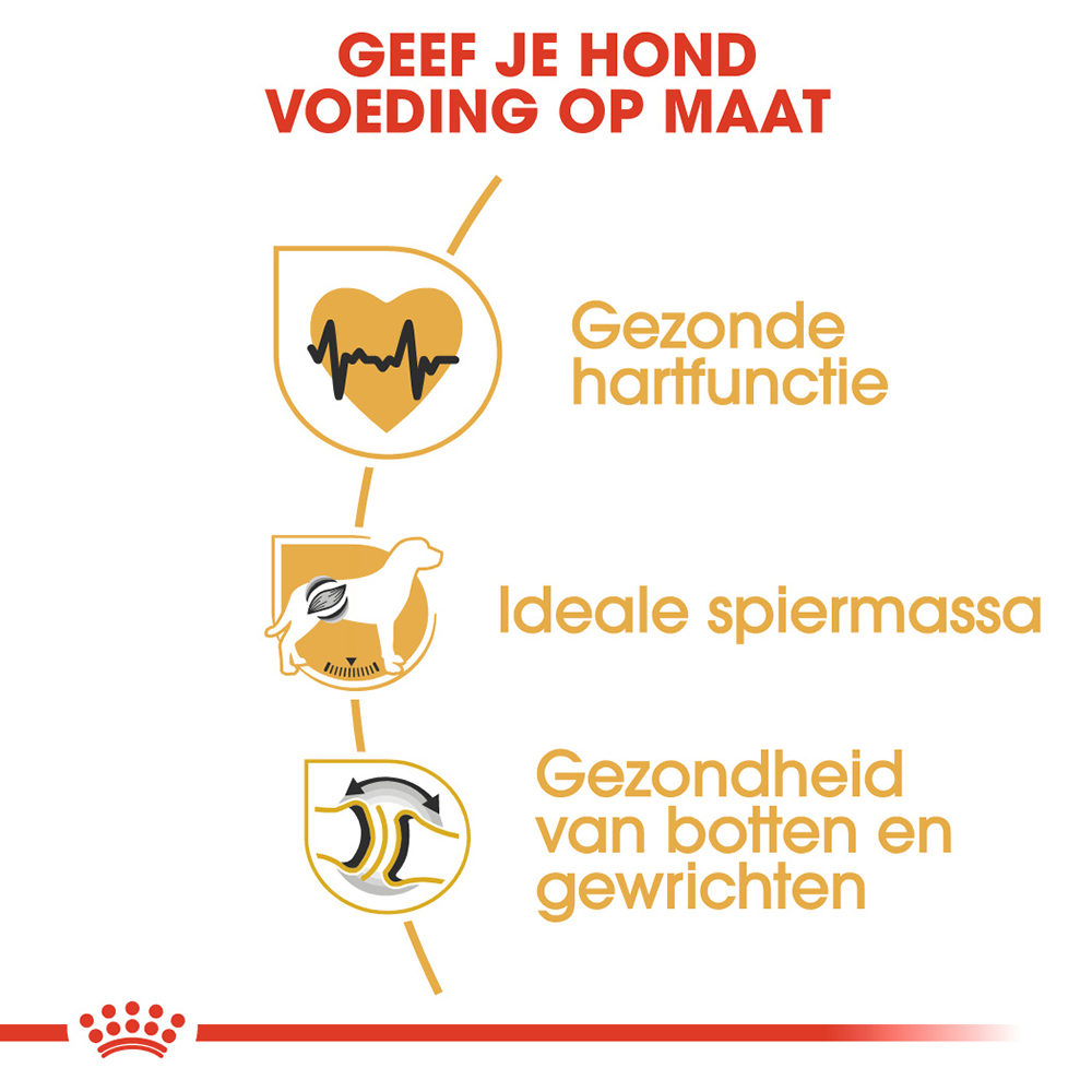 Royal Canin Rottweiler Adult - Hondenvoer