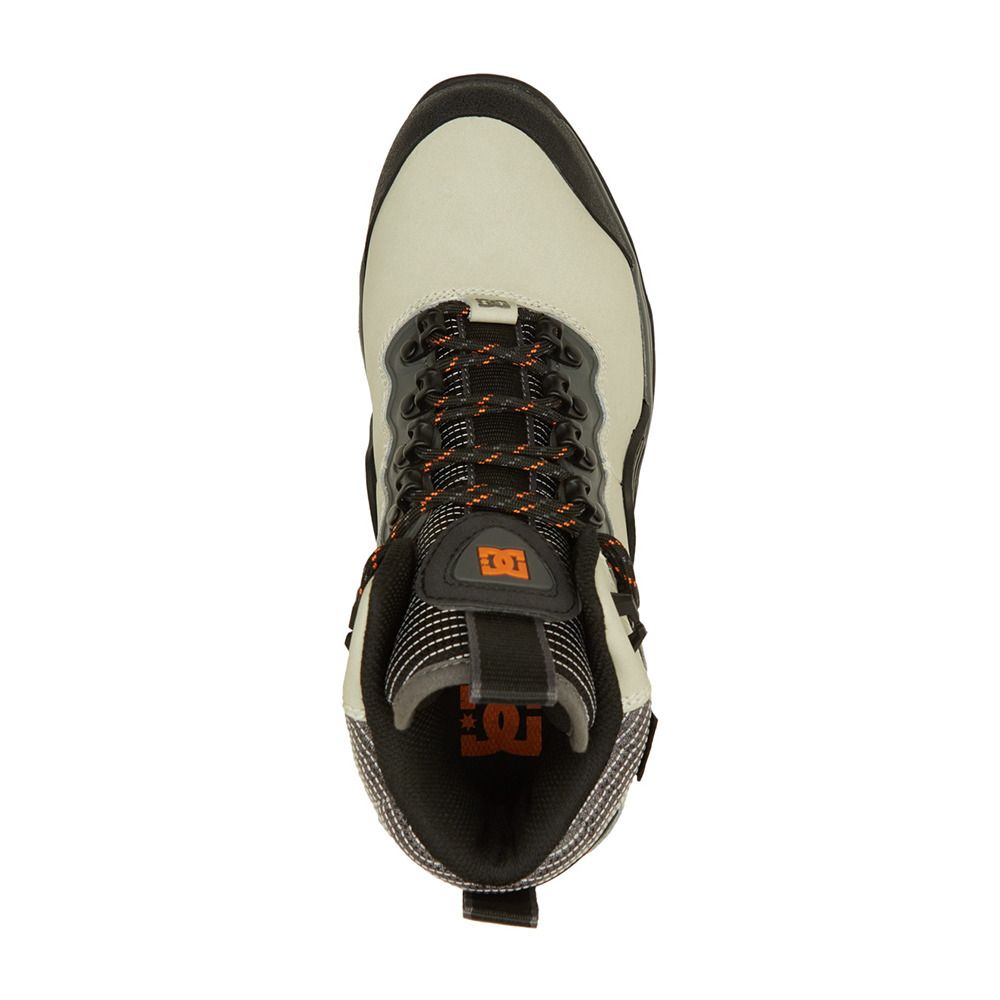 DC Shoes NAVIGATOR - Chaussures Homme cream