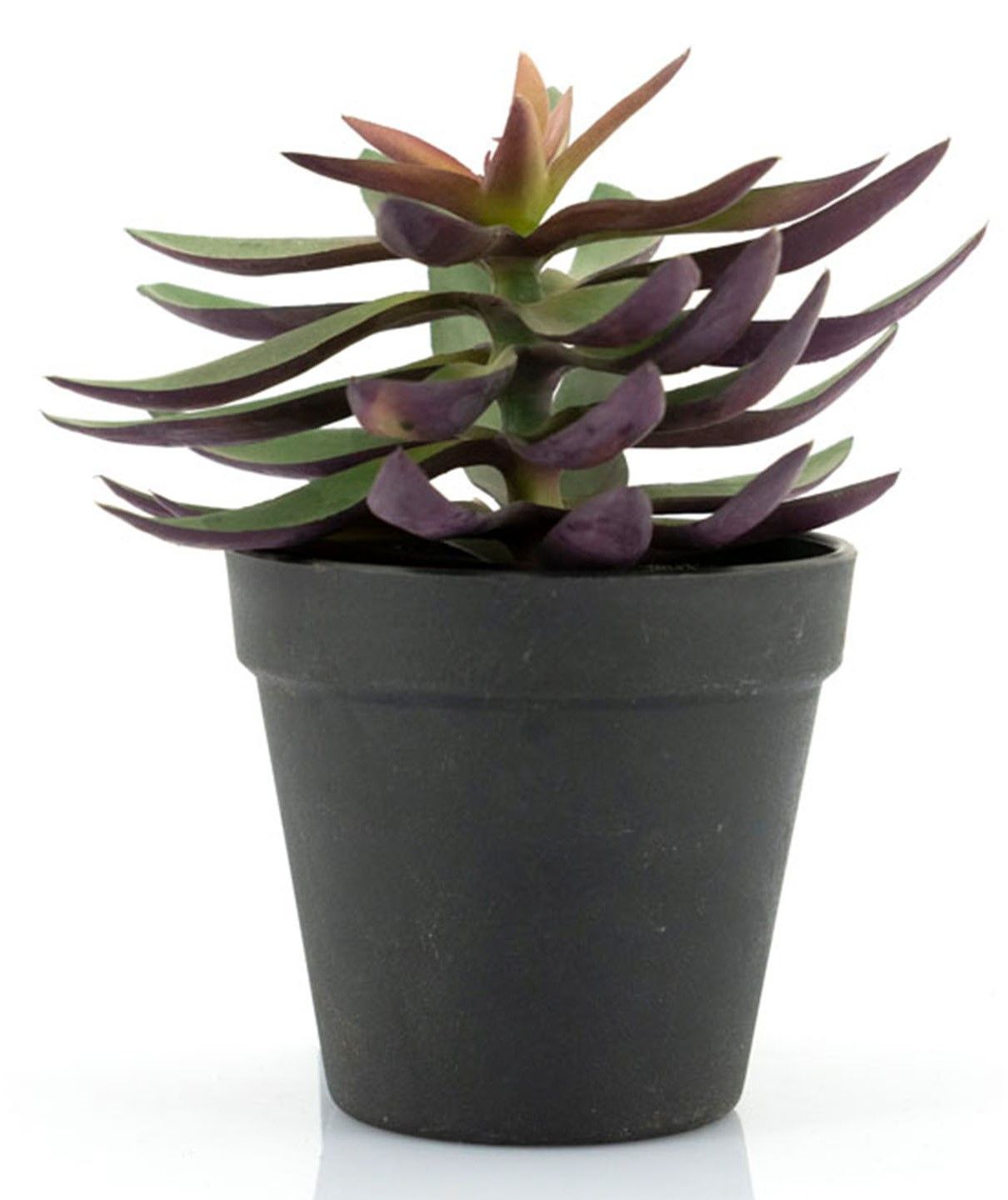 Kunstplant 403114 Vetplant B18 x D18 x H18 cm