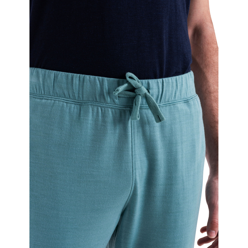Icebreaker Herren Shifter II Hose