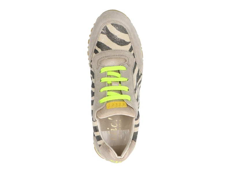 Clic! 8190 Multi color