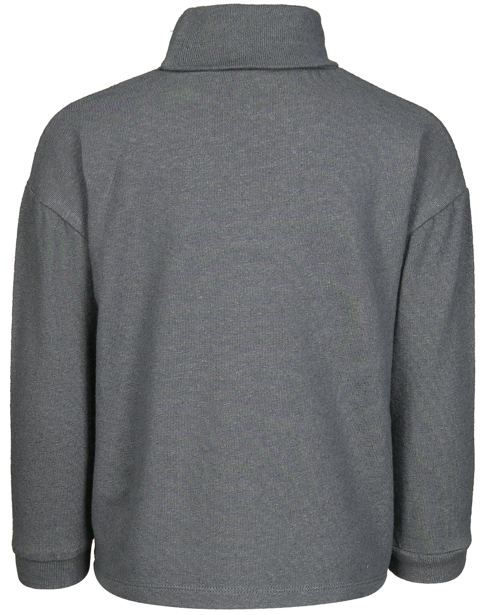 Rollkragen-Langarmshirt BRUNO in dunkelgrau